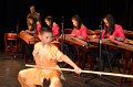 10.25.2014 Alice Guzheng Ensemble 12th Annual Performance at James Lee Community Theater, VA (18)